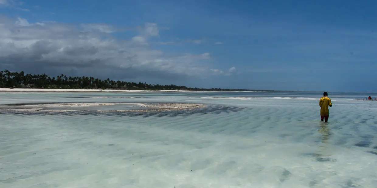 A figure wading in the clear shallows off a Zanzibar beach